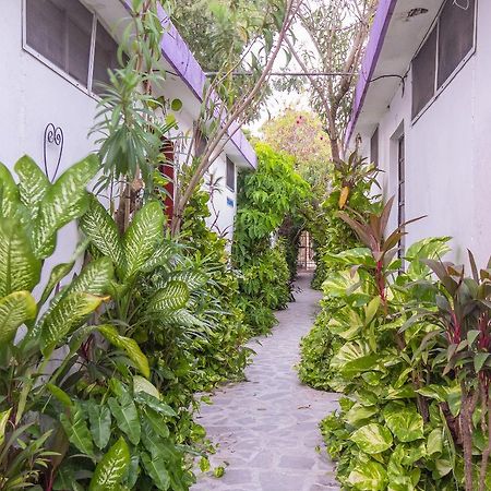 Hotel Aventura Mérida Eksteriør billede